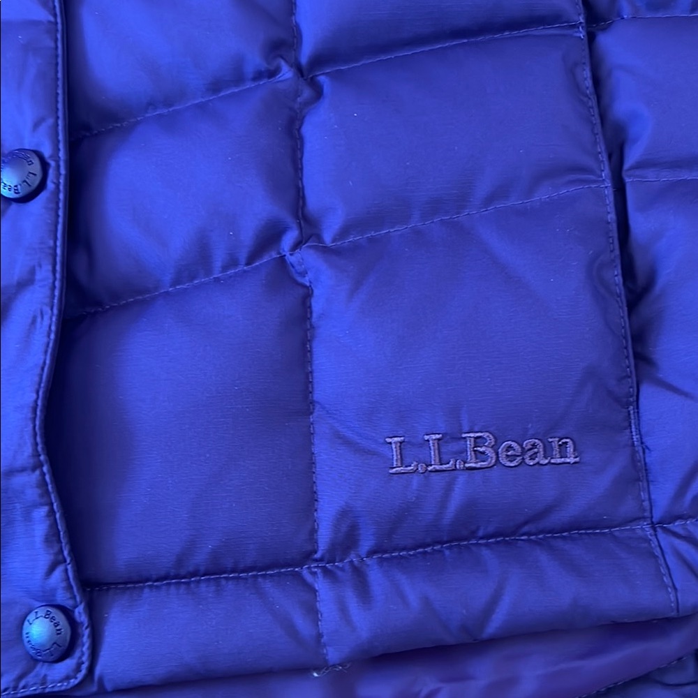 L.L. Bean Quilted Purple and Black Vest for Outdoor Adventures - Picture 15 of 16